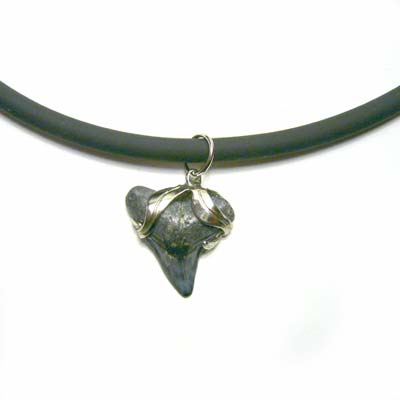 Sharks Tooth Silver Wrapped Necklace
